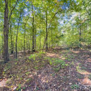 Photo #5 of Hwy 731, Candor, NC