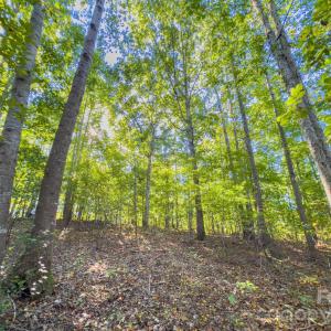 Photo #40 of Hwy 731, Candor, NC