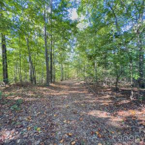 Photo #41 of Hwy 731, Candor, NC