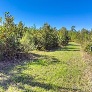 Photo #4 of Hwy 731, Candor, NC