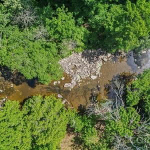 Photo #7 of Tarlton Mill, Marshville, NC