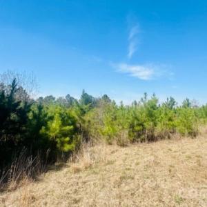 Photo #8 of 415 Hawkins, Hartsville, SC