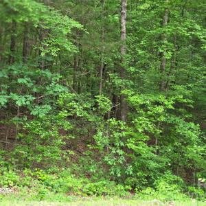 Photo #8 of VAC Stony Gap, Albemarle, NC