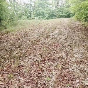 Photo #6 of 2115 Kisatchie, Hickory Grove, SC