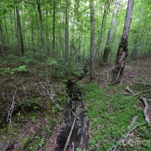 Photo #3 of 3007 Paraham, York, SC