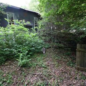 Photo #34 of 3007 Paraham, York, SC