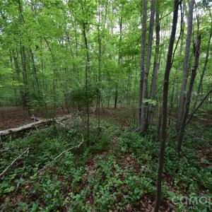 Photo #1 of 3007 Paraham, York, SC