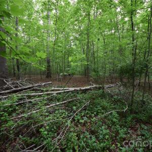 Photo #14 of 3007 Paraham, York, SC
