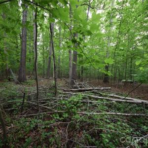 Photo #13 of 3007 Paraham, York, SC