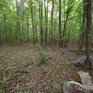 Photo #7 of 3007 Paraham, York, SC