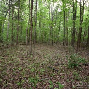 Photo #5 of 3007 Paraham, York, SC