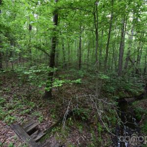 Photo #4 of 3007 Paraham, York, SC