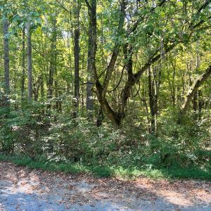 Photo #23 of Trull Hinson, Wingate, NC