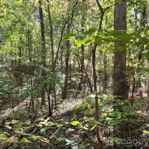 Photo #19 of Trull Hinson, Wingate, NC
