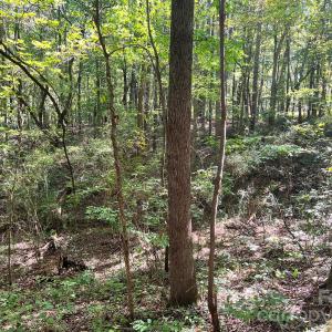 Photo #21 of Trull Hinson, Wingate, NC