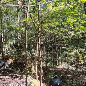 Photo #18 of Trull Hinson, Wingate, NC