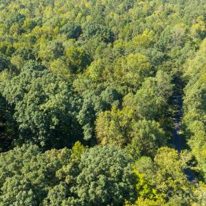 Photo #7 of Trull Hinson, Wingate, NC