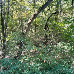 Photo #25 of Trull Hinson, Wingate, NC