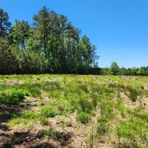 Photo #6 of 2423 Pine Grove Church, Eagle Springs, NC