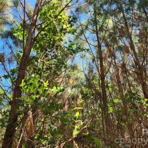 Photo #9 of 2423 Pine Grove Church, Eagle Springs, NC