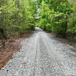 Photo #13 of Blackwelder, Salisbury, NC