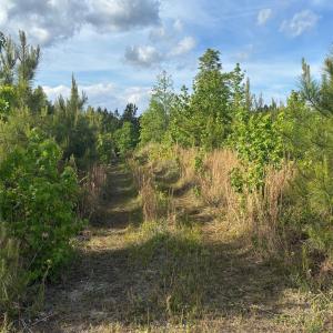 Photo #1 of TBD Beaker, Heath Springs, SC