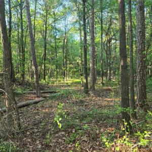 Photo #12 of 218, Marshville, NC