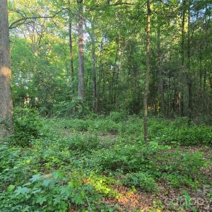 Photo #10 of 218, Marshville, NC