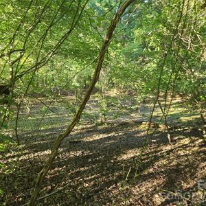 Photo #15 of 218, Marshville, NC