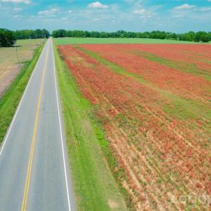 Photo #3 of Rogers, Bennettsville, SC
