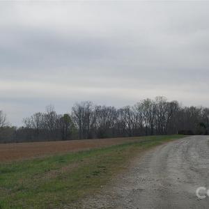 Photo #5 of Sells Farm, Winston Salem, NC