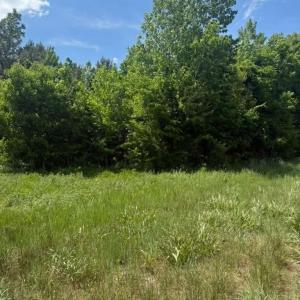 Photo #1 of 10501 Davidson, Huntersville, NC