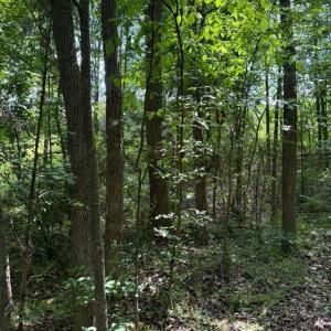 Photo #6 of 10501 Davidson, Huntersville, NC
