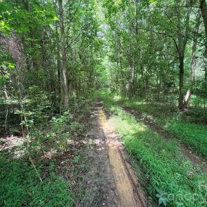 Photo #5 of 10501 Davidson, Huntersville, NC