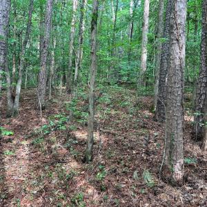 Photo #10 of 5620 Barrier Georgeville, Mount Pleasant, NC