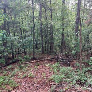 Photo #11 of 5620 Barrier Georgeville, Mount Pleasant, NC