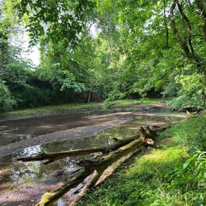 Photo #13 of 5620 Barrier Georgeville, Mount Pleasant, NC