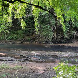 Photo #15 of 5620 Barrier Georgeville, Mount Pleasant, NC