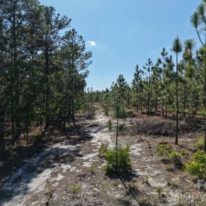 Photo #19 of Mt Olivet Church, Patrick, SC