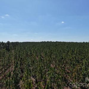 Photo #15 of Mt Olivet Church, Patrick, SC