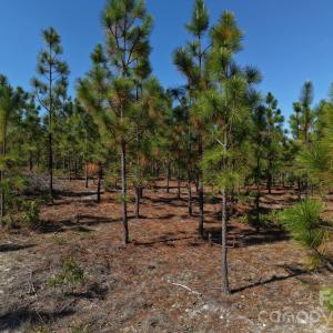 Photo #18 of Mt Olivet Church, Patrick, SC