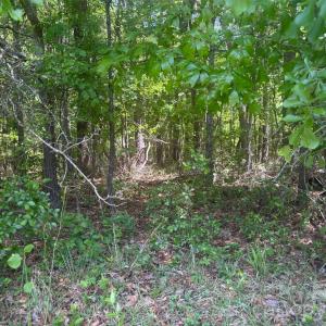 Photo #3 of 2206 Highway 1, Elgin, SC