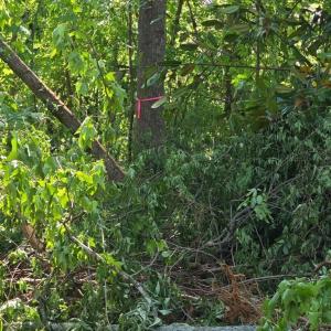 Photo #8 of 2340 Montford, Concord, NC