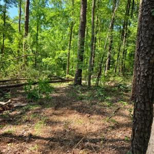 Photo #7 of 2340 Montford, Concord, NC