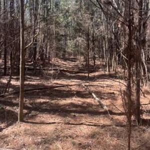 Photo #1 of 312 Pine Grove, Blythewood, SC