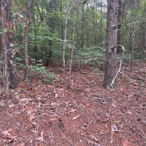 Photo #11 of 2426 Ore Bank, Smyrna, SC