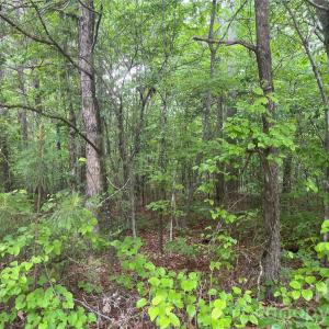 Photo #1 of 2426 Ore Bank, Smyrna, SC