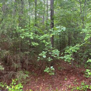Photo #6 of 2426 Ore Bank, Smyrna, SC