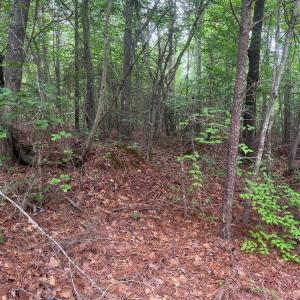 Photo #15 of 2426 Ore Bank, Smyrna, SC
