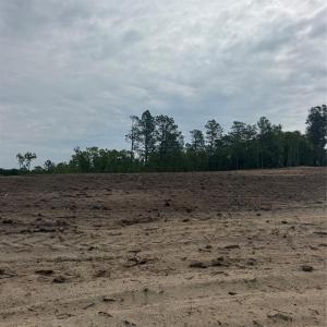 Photo #1 of Lot C Bailey Sawmill, Ruby, SC